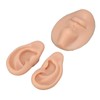 Silicone Ear Model Novice Simulated 3D Nose and Mouth Model