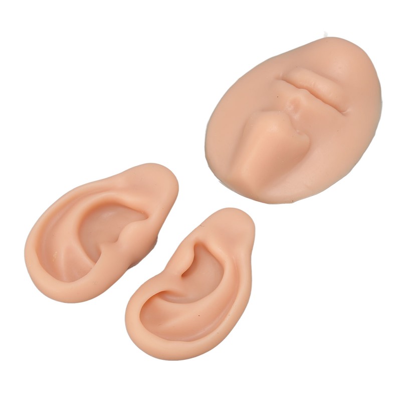 Silicone Ear Model Novice Simulated 3D Nose and Mouth Model