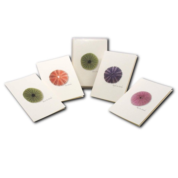 Earth Sky + Water - Sea Urchin Assortment Notecard Set - 8 Blank Cards with Envelopes (2 each of 4 styles)