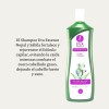 Shampoo Eva Essence Nopal Y Sábila 1l Anticaída Y Anticaspa