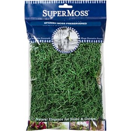 SuperMoss Preserved Spanish Moss, Hunter