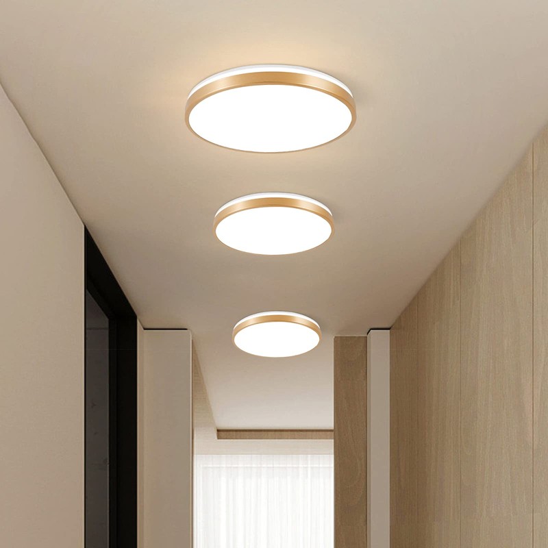 Horevo 30 cm Bluetooth Ceiling Light with Remote Control, 24
