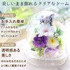 Hanayu Buddha Flowers, Preserved Flowers, Artificial Flowers, White Version, Clear