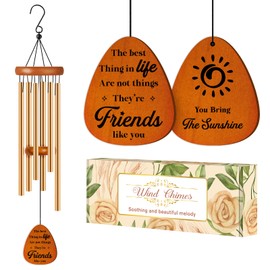 Friendship Gifts for Women Friends, Birthday Gifts for Best Friends, Bestie, Soul Sister, Female, Friendship Gift Wind Chimes for Christmas Friendsgiving, BFF Gift Ideas