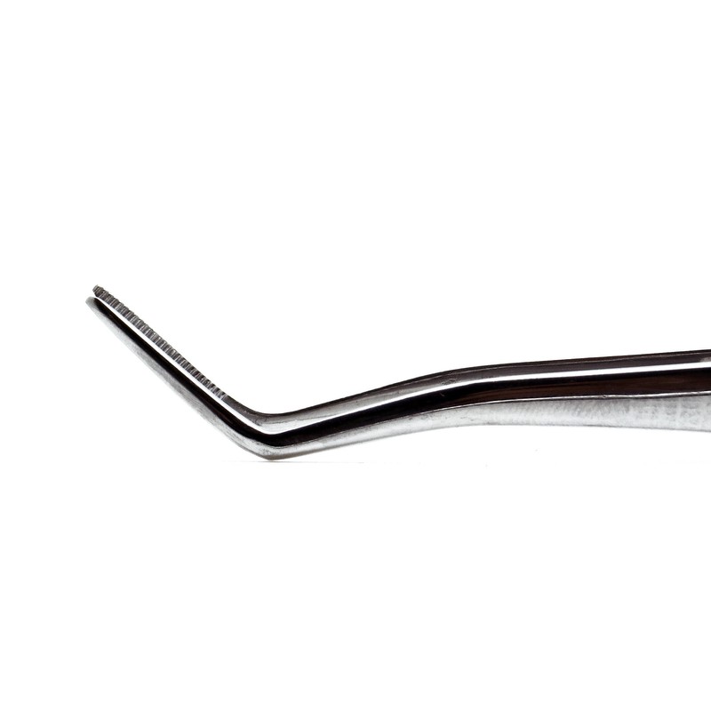 Dental Meriam Foil Cotton Tweezer 16cm Serrated Angled Beak Dressing