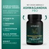 Ambrosial Ashwagandha Pro 3000mg with Vitamin B6, L-Theanine, L-Tryptophan &