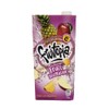 Fruitopia Fruit Integration Juice 1L Each (12 Pack of 1L