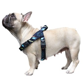 iChoue Dog Harness Easy On and Off Adjustable Harness Lightweight Harness with Handle for Small and Medium Dogs - Shooting Stars Size M