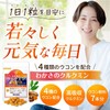 【公式】 わかさ生活 わかさのクルクミン クルクミン サプリ 高吸収 ４種のウコンパウダー サプリメント 31粒 1ヶ月分
