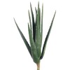 SilksAreForever 17" Real Touch Aloe Artificial Stem -Green (Pack of