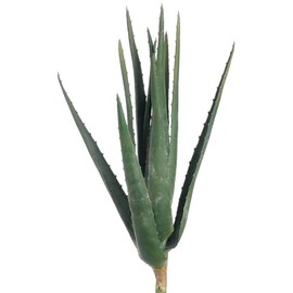 SilksAreForever 17" Real Touch Aloe Artificial Stem -Green (Pack of 6)
