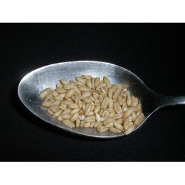 Whole Oats 5 Pounds Hulled, Groats, USDA Certified Organic Non-GMO Bulk, Mulberry Lane Farms