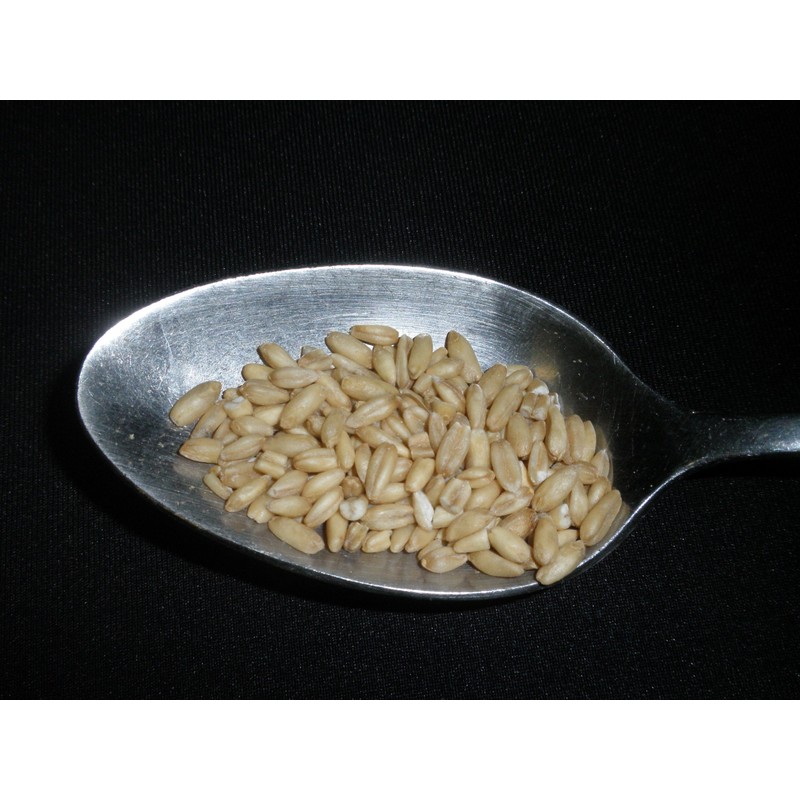 Whole Oats 5 Pounds Hulled, Groats, USDA Certified Organic Non-GMO