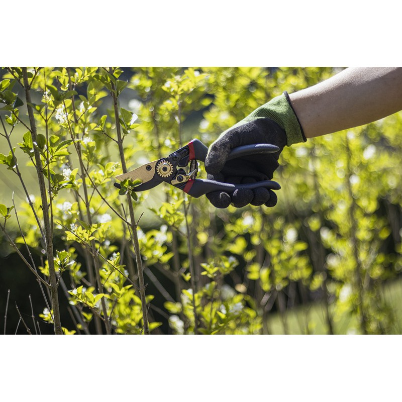 Meister Secateurs with Bypass Blade - Titanium Alloy & Non-Stick