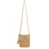 CHIC DIARY Small Straw Bag Women's Straw Shoulder Bag Summer