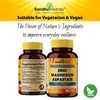 Sandhu Herbals Zinc Magnesium Aspartate 90 Ct Vegetarian capsules, Mineral
