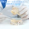 UKYCEORA Transparent Disease Teeth Model, Dental Implant Bridge Dental Teaching