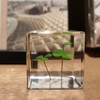 Bon Cube Mini Acrylic Resin Cube Paperweight with Preserved Flower