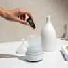 Cliganic Organic Geranium Essential Oil, 100% Pure Natural for Aromatherapy