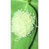 Catalpa, Southern Catalpa Tree Seeds, (For Raising Catalpa Worms) Catfish