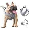 Small Dog Harness with Leash Set,No Pull Adjustable Dog Vest