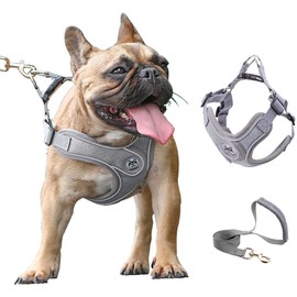 Small Dog Harness with Leash Set,No Pull Adjustable Dog Vest Harness,Easy Walk Dog Collar Harness,Reflective Pet Harness with Padded Handle for Puppy Small Medium and Large Dogs and Cats (Grey, S)
