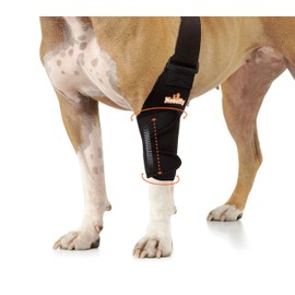NeoAlly Dog Elbow Support Brace with Metal Inserts for Canine Elbow and Shoulder Support Elbow Hygroma, Dysplasia, Orthosis, Calluses, Pressure Sores and Shoulder Dislocation (Left Leg, Small)