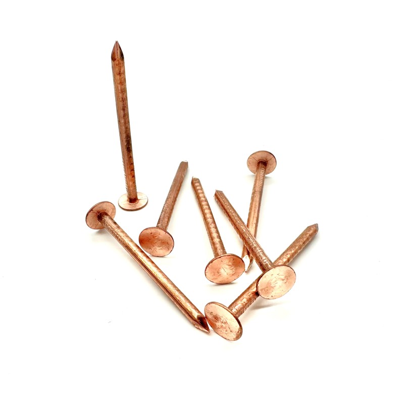 10 PCS Copper Clout Nails Roofing Slate Felt Nail, Tree