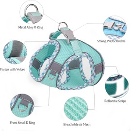 Benala Dog Harness and Leash Set No Pull, Adjustable Step-in Puppy Harness with Breathable Mesh, Reflective Dog Vest Harness Leash for Small Medium Dogs Cats,Blue,XS