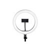 Gator Frameworks 10-Inch LED Desktop Ring Light Stand with Phone