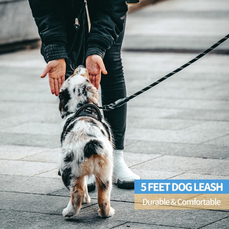 BAAPET 2/4/5/6 FT Dog Leash with Comfortable Padded Handle and