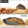 SunGrow Hermit Crab Water Bowl and Bathing Pool, 5 x