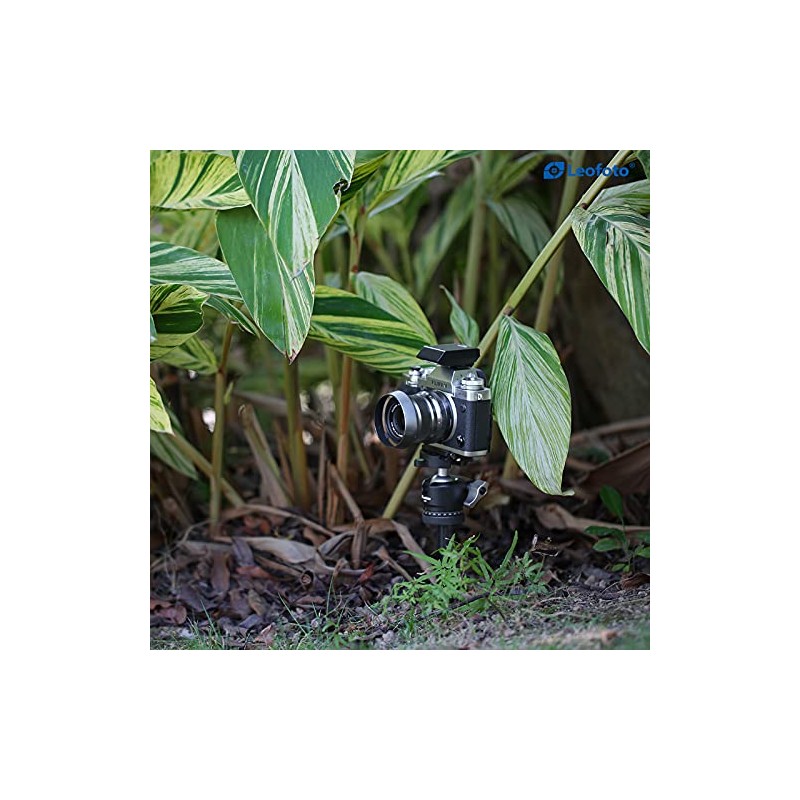 Leo Photo A200 Camera Spike Single Item