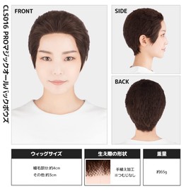 Classe Pro Magic All Back Bowes Cosplay Wig, Black 04