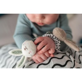 Ziggle - Wrist rattles