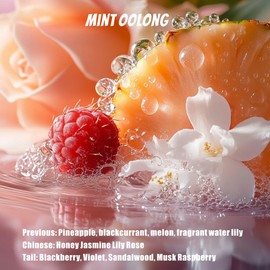 CARORI Home Fragrance Accessories Air Freshener, Air Odor Eliminator Gel, Made with Essential Oils, Air Fresheners for Bathrooms, Cars, Boats, RVs, Office,Holiday for Family and Friends - 2Pcs