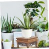 CAXUSD Wooden Planter Stand Rustic Flower Pot Holder for Home