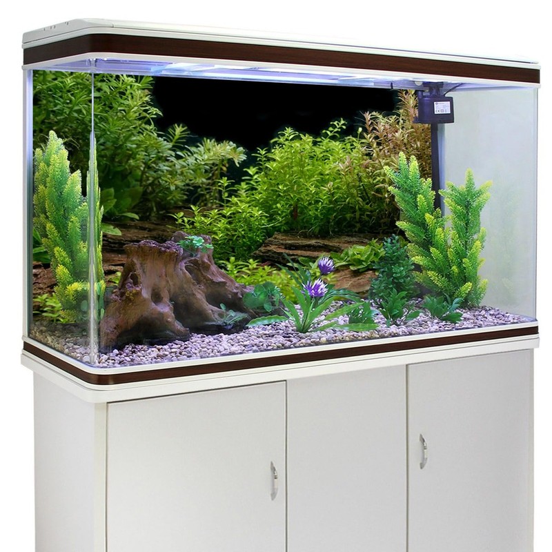 AWERT Aquarium Background River Bed & Lake Aquatic Plant Fish