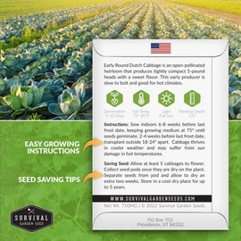 Survival Garden Seeds - Early Round Dutch Cabbage Seed for Planting - 3 Packs with Instructions to Plant and Grow Green Cabbages in Your Home Vegetable Garden - Non-GMO Heirloom Variety