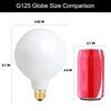 OMAYKEY 15W Dimmable Large LED Globe Bulb 100W Equivalent 1000
