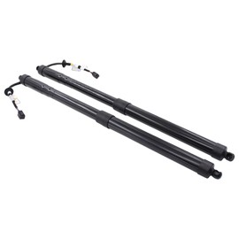 ApplianPar Driver and Passenger Side Power Tailgate Struts Lift Supports for Infiniti JX35 QX60 2013-2017