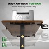 Furmax Electric Standing Desk with Monitor and Laptop Workstation, 47