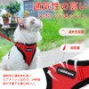Rabbitgoo Cat Harness and Leash Set, Escape Proof, Soft Chest