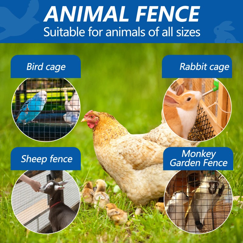 Welded Mesh Fence PVC Black Hardware Cloth 19Gauge 1/2in Mesh