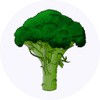 24 x 40mm Round 'Broccoli' Stickers (SK00040055)