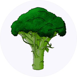 24 x 40mm Round 'Broccoli' Stickers (SK00040055)
