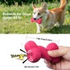 Petper Cw-0095EU Squeaky Latex Dog Toy, Interactive Toy Bone for