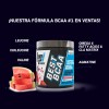 Aminoacido Best Bcaa 30 Servicios Bpi Todos Los Sabores