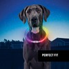 Nite Ize NiteHowl Rechargeable LED Safety Necklace - Adjustable LED