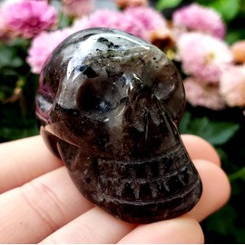 Sublime Gifts Smokey Quartz - Hand Carved Skull - Polished Natural Healing Metaphysical Crystal Gemstone Skull